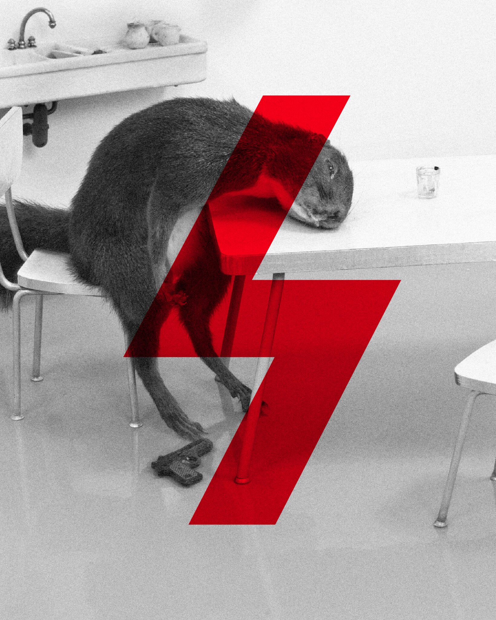 Per la prima volta, Visioni del Corpo si apre all’estero: il debutto è martedì 4 novembre presso l’Istituto Italiano di Cultura di Parigi.