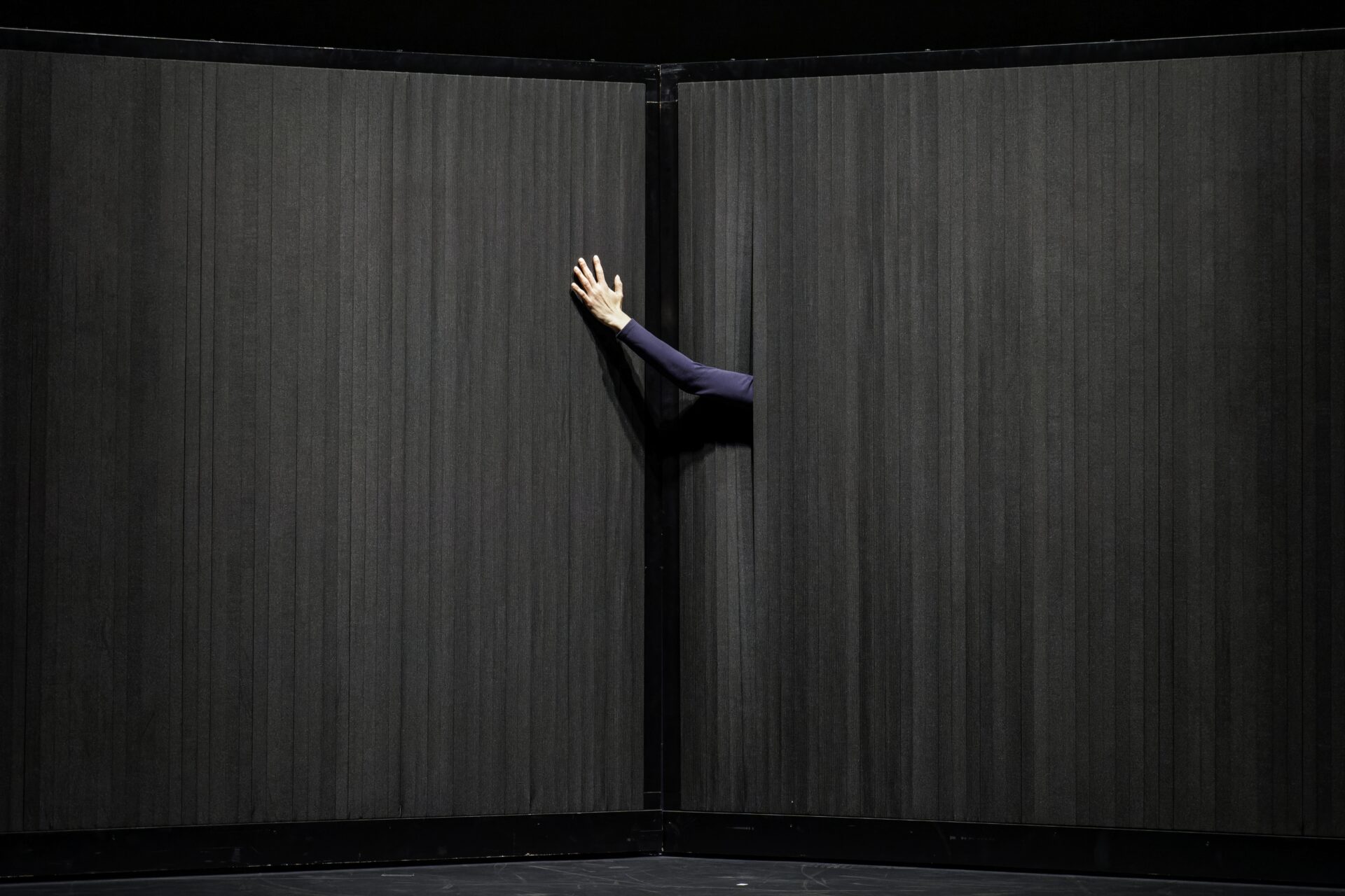 Il mondo dei quasi – ph. Christophe Bernard (1)