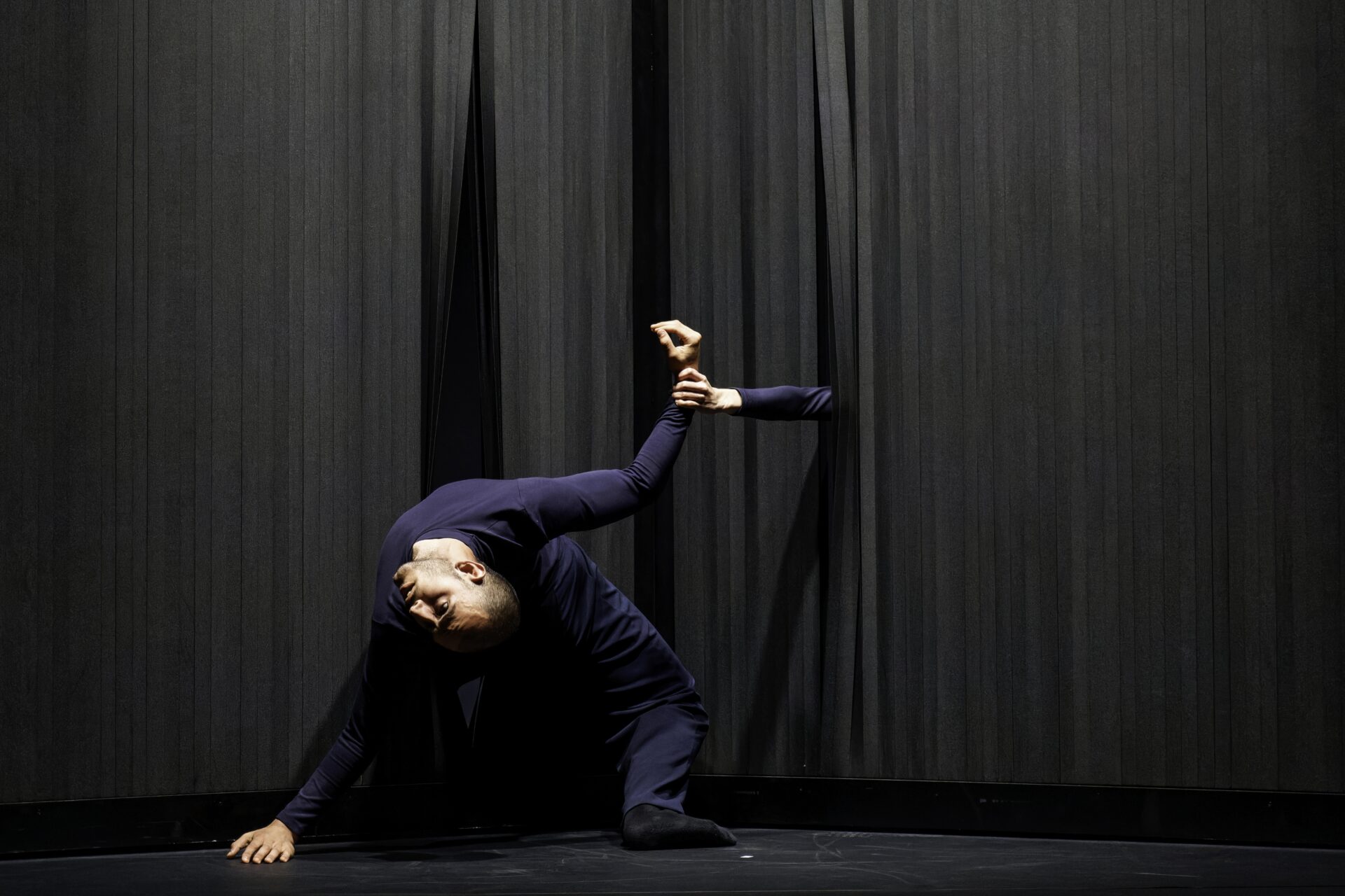 Il mondo dei quasi – ph. Christophe Bernard (11)
