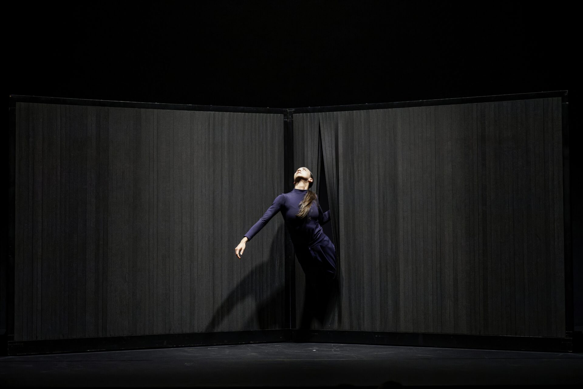 Il mondo dei quasi – ph. Christophe Bernard (8)