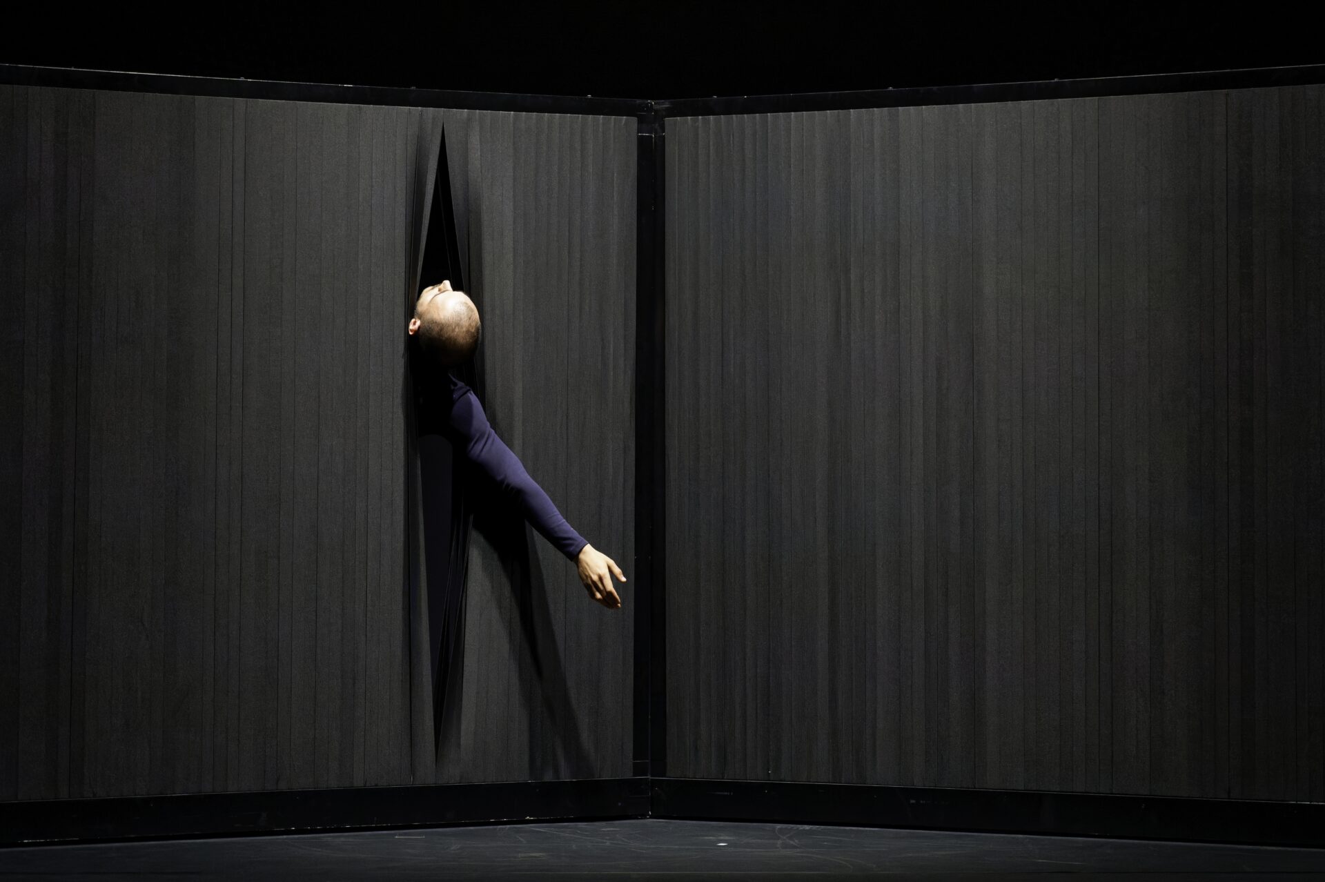 Il mondo dei quasi – ph. Christophe Bernard (9)
